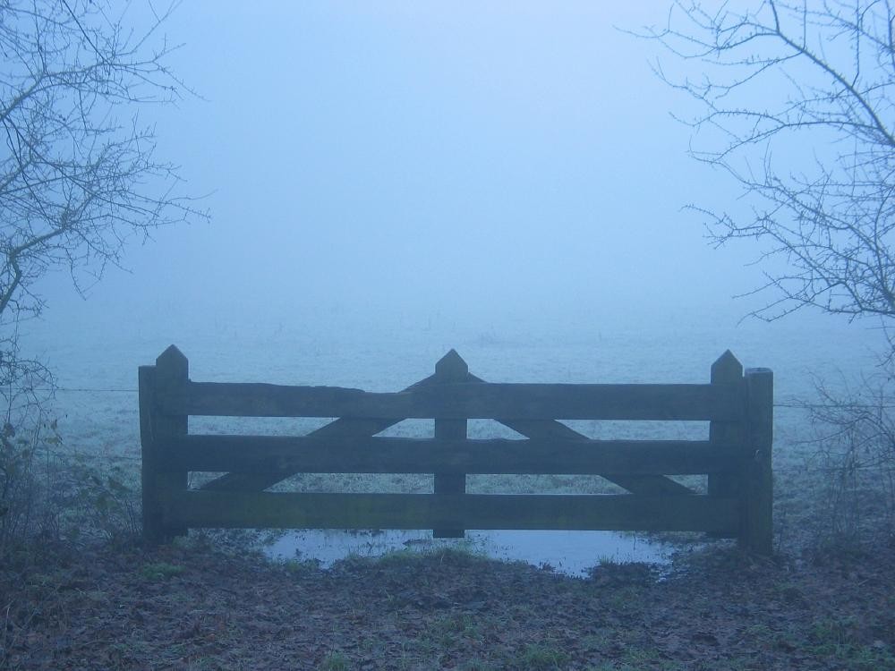 wandelen door het bos